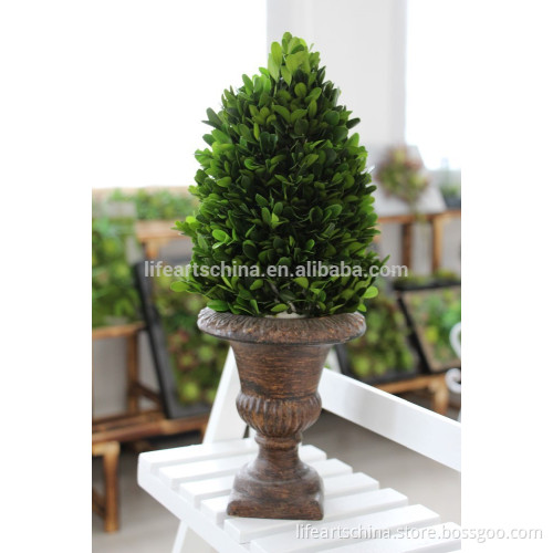 40cm Preserved boxwood, topiary, bonsai, home decor, party decor, festival decor